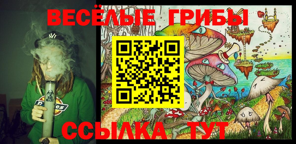 Псилоцибиновые грибы MAGIC MUSHROOMS Железногорск